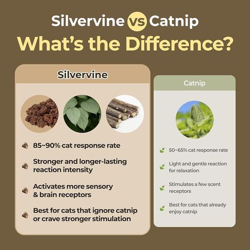 رذاذ Mata النشط Jayu Pet - رذاذ Silvervine الطبيعي بنسبة 100 ٪ للقطط ، بديل Catnip السائل ، رذاذ مهدئ للقطط الداخلية ، يعزز اللعب والمشاركة ، ويقلل من الإجهاد (1 أوقية) in Kuwait