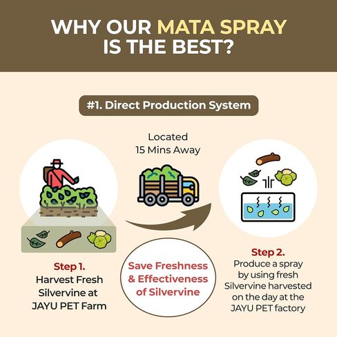 رذاذ Mata النشط Jayu Pet - رذاذ Silvervine الطبيعي بنسبة 100 ٪ للقطط ، بديل Catnip السائل ، رذاذ مهدئ للقطط الداخلية ، يعزز اللعب والمشاركة ، ويقلل من الإجهاد (1 أوقية) in Kuwait
