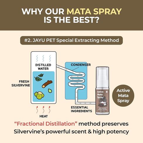 رذاذ Mata النشط Jayu Pet - رذاذ Silvervine الطبيعي بنسبة 100 ٪ للقطط ، بديل Catnip السائل ، رذاذ مهدئ للقطط الداخلية ، يعزز اللعب والمشاركة ، ويقلل من الإجهاد (1 أوقية) in Kuwait