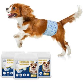 Male Dog Diapers with Wetness Indicator, Disposable Belly Band for Puppy Male Diapers, Doggie Wraps for Puppy Training, Incontinence (XS, 26 Count)