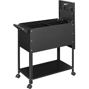 Mobile File Cabinet, 2 Tier File Cart with Wheels Hanging Files, Metal Rolling Cart with Lock and Sliding Cover for Office, Mailrooms, Cubicles, Classrooms, Libraries, Black