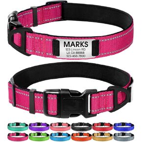 Joytale Personalized Dog Collars, Reflective Nylon Collar with Engraved Name Plate, Customized for Medium Dogs, Hotpink, M