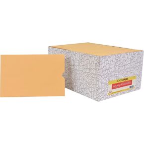 School Smart Report Card Envelope, 28 lb, 6 x 9 Inches, Kraft, Pack of 500