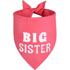 Big Brother Dog Bandana Beige Bare 1PCs ، وشاح Triangle القابل للتعديل ، وإعلان الحمل ، وطفل جديد للعائلة.