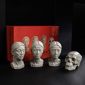 Generic Artists Head Models Mannequin Set, 4 Pieces, Includes Muscle Head, Skull Head, Planar Head & Original Head - Skecthing Drawing Reference (Female)