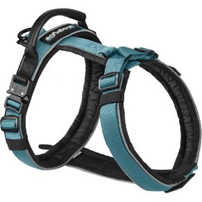 Premium Y-shaped Dog Harness for Training & Daily Walk, No-Pull Adventure Harness with Handle & 3 leash Hook Points, Durable Nylon, Soft Padding, Dog Vest for Small Medium Large Dogs(11-88lbs)