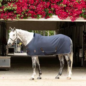 Equinavia Vind Lightweight Stable Blanket for Horses | No Fill Sheet with Wither Relief - Black - 80 in