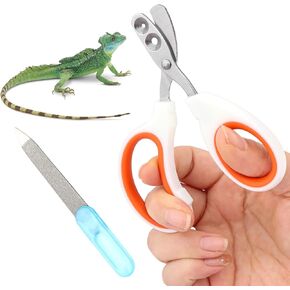 Bearded Dragon Nail Clippers, Stainless Steel Pet Nail Clippers for Small Reptiles, Professional Clippers Grooming Pet Tool for Bearded Dragon Enthusiasts(Orange)