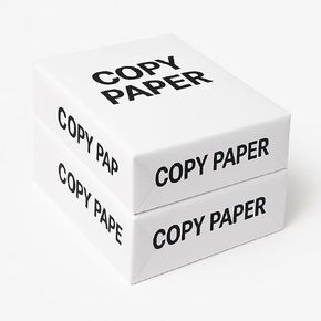 Multipurpose Printer Paper, Premium Color 20 lb Copy Paper, 8.5 x 11-2 Reams (1,000 Sheets) - 96 Bright, Made in the USA