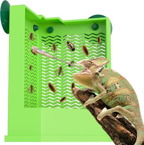 Pawfly Boughd Dragon Feeder - صندوق طعام زواحف زاوية مقاومة للهروب ، مثبت على الجدار مع أكواب الشفط للحشرات - وعاء الأخطاء للسحالي ، والخيوط ، والخيوط والضفادع in Kuwait