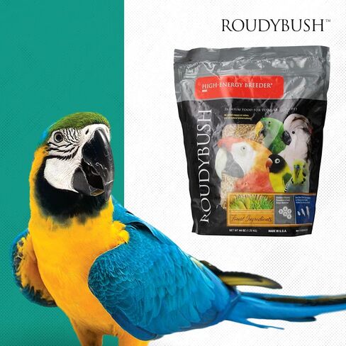 Roudybush High Energy Breeder Bird Food, Mini, 44-Ounce in Kuwait