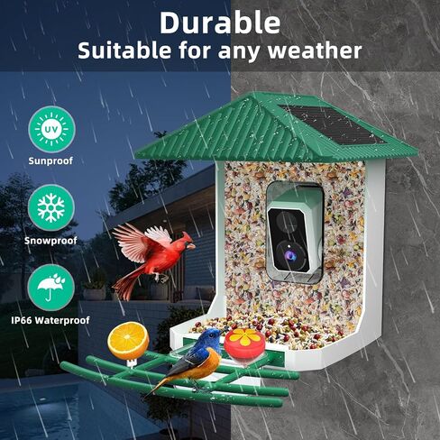 وحدة تغذية الطيور الذكية KURAIN® مع الكاميرا ، و WIFI 2.4G/5G ، وتغذية الطيور فيديو 2.5K مع لوحة شمسية ، والتعريف ، والمنظر المباشر ، والتقاط فيديو الطيور ، وتنبيهات وصول فورية ، هدية مثالية ليوم الأب in Saudi Arabia