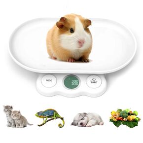 Digital Pet Scale for Small Animal, Mini Precision Gram Reptiles Weight Scale(Max. 33 lbs), High Precision 1g, Perfect for Puppy/Kitten/Hamster/Hedgehog/Food
