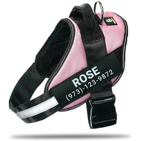 Personalized No-Pull Dog Harness with Name Patch, Adjustable, Reflective, Padded, Heavy Duty Pet Vest to Prevent Tugging, Pulling, or Choking, Training and Walking, Blue, L