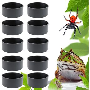 10 Pcs Small Reptile Water Bowl Food Dish Feeding Bowl for Spider Gecko Lizard Horned Frog Turtle Snake (Black)