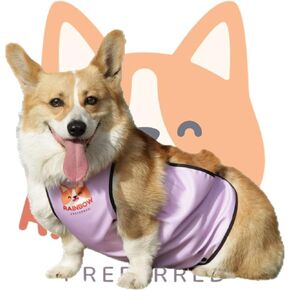 RainbowPreferred New Waterproof Dog Belly Protector Belly Cover Raincoat Rain Jacket Belly Band Recovery Suite Apron for Dog Clothes Costume