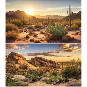 2 Packs Desert Mountain Reptile Tank Background Sunset Desert Gobi Cacti Sand Dunes Aquarium Background Saguaro Sandstone Rock Mountain Range Scenery Aquarium Reptile Enclosure Backgrounds 36x18in
