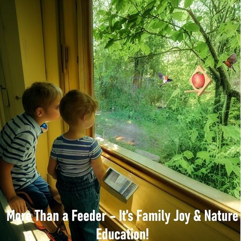 Bird Feeders for Outdoors, Wooden Hanging Bird Feeder Wild Birds, Balcony Decor Handmade Backyard Decor Nature in Saudi Arabia