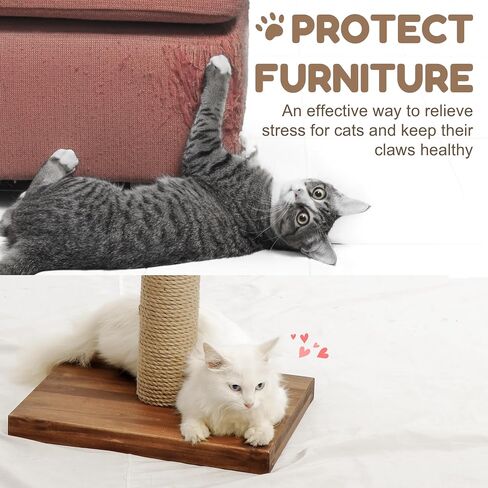 Cat Scratching Posts for Indoor Cats, Solid Wood Kiity Post Scratcher, Tall 22 Inch-1 Pillar, Sisal Material Natural in Saudi Arabia