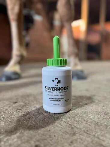 Silver Hoof EQ Therapy® by Draw It Out in Kuwait