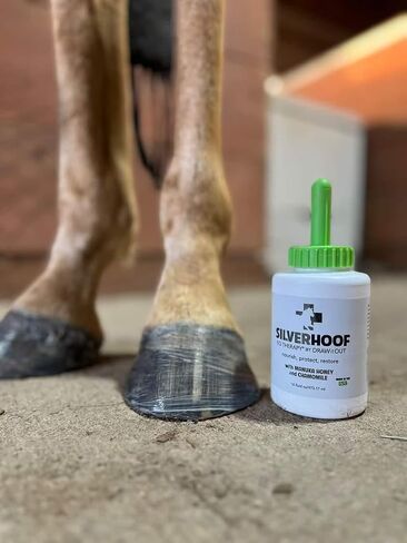 Silver Hoof EQ Therapy® by Draw It Out in Kuwait