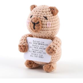 Mini Positive Capibara Crochet Animals, Cute Handmade Knitted Emotional Support Crochet Capibara, Funny Inspirational Back to School Teacher College Graduation Birthday Gifts for Women Men