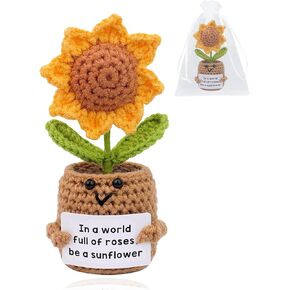 Handmade Positive Forget Me Not Crochet Doll Crochet Plant Flowers Gifts,Appreciation Thank You for Being an Important Part Gifts for Women Mom Friends Wife Teacher Coworker Christmas,Birthday