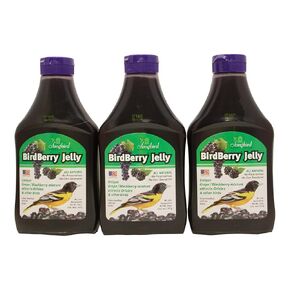 Songbird Essentials 20 Ounce BirdBerry Jelly Squeeze Bottle Bird Feeder Jelly, Grape and Blackberry Jelly Made Just for Birds [Pack of 3]
