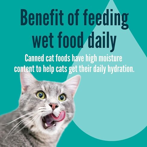 A Strong Heart Canned Wet Cat Food, Special Supper Dinner - 13.2 oz Cans (Pack of 12), Made in The USA with Real Turkey & Fish in Saudi Arabia