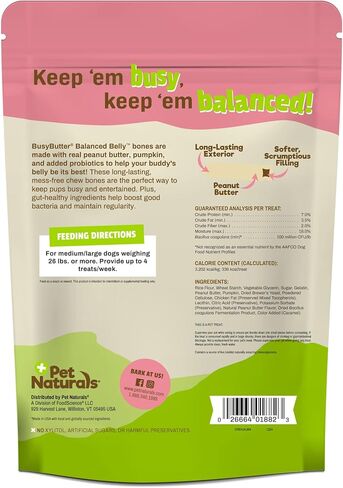 Pet Naturals BusyButter Balanced Belly Peanut Butter Bones, Rawhide-Free Chews for Small Dogs, Long Lasting Chew Bones, Probiotics and Pumpkin for Gut Health, 22 Count in Kuwait