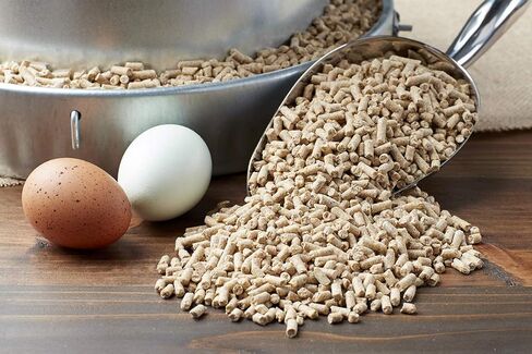 Purina ، الكريات Layena ، تغذية الدجاج للدجاجات ، 25 رطلاً in Kuwait