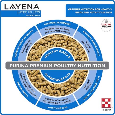 Purina ، الكريات Layena ، تغذية الدجاج للدجاجات ، 25 رطلاً in Kuwait