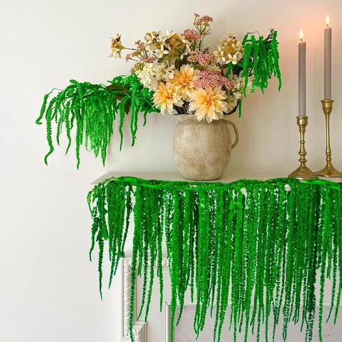 5 قطع زهور زفاف قطيفة مجففة حقيقية معلقة - 23 بوصة زهور مجففة خضراء محفوظة لزهور قوس الزفاف، أكاليل الزهور، ترتيب زهور الوستارية، ديكور مزهرية ريفي، تعليق على الحائط in Kuwait