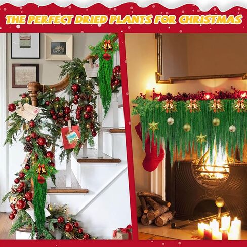 5 قطع زهور زفاف قطيفة مجففة حقيقية معلقة - 23 بوصة زهور مجففة خضراء محفوظة لزهور قوس الزفاف، أكاليل الزهور، ترتيب زهور الوستارية، ديكور مزهرية ريفي، تعليق على الحائط in Kuwait