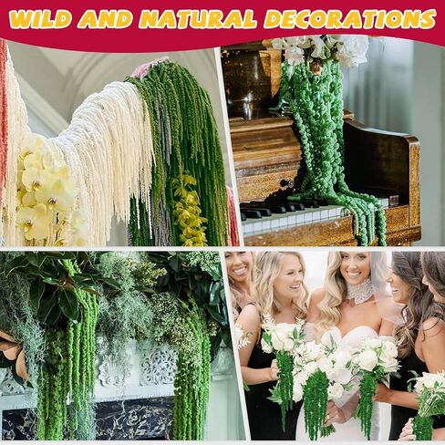 5 قطع زهور زفاف قطيفة مجففة حقيقية معلقة - 23 بوصة زهور مجففة خضراء محفوظة لزهور قوس الزفاف، أكاليل الزهور، ترتيب زهور الوستارية، ديكور مزهرية ريفي، تعليق على الحائط in Kuwait