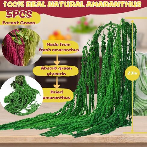 5 قطع زهور زفاف قطيفة مجففة حقيقية معلقة - 23 بوصة زهور مجففة خضراء محفوظة لزهور قوس الزفاف، أكاليل الزهور، ترتيب زهور الوستارية، ديكور مزهرية ريفي، تعليق على الحائط in Kuwait