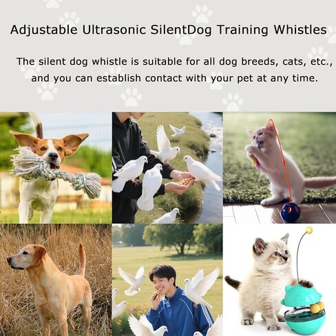 Professional Dog Training Whistle with Lanyard, 3 Adjustable Levels, Ultrasonic Anti-Barking Tool (Pink) in Saudi Arabia