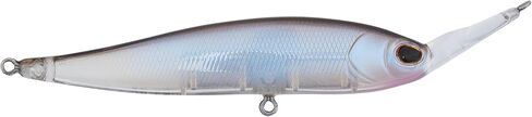 Berkley Krej in Saudi Arabia