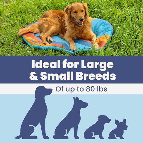 Travel Dog Bed (42" x 30") – Foldable, Roll-Up Camping Dog Bed – Water Resistant, Soft & Durable Mat with Extra Padding – Compact & Packable – Machine Washable – Large & Small Breeds - Grey in Kuwait