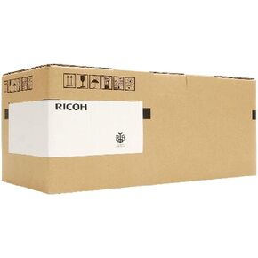 Ricoh 418095 Printer Maintenance Kit Type P 501
