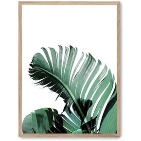 Picture Banana Leaves iii_FASE5
