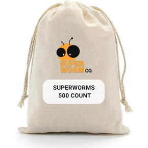 Superworms - Large - 500ct