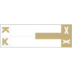 Doctor Stuff - File Folder Labels, Alphabet Letters, E/R, Compatible with Smead NCC - SNCC Series Alpha Stickers Purple, 1-5/32" x 3-5/8, 100/Package