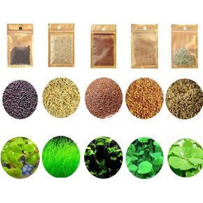 5 Aquarium Plants S.e.e.d Set, not Artifical, Fish Tank Decor Replacement for Resin or Plastic Grass