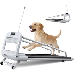 FYC 2025 New Quiet Dog Treadmill for Small, Medium & Select Large Dogs, 265lbs Capacity Pet Treadmill with 6° Incline, 2.5HP Ultra-Quiet Motor, Remote Control & Easy Storage