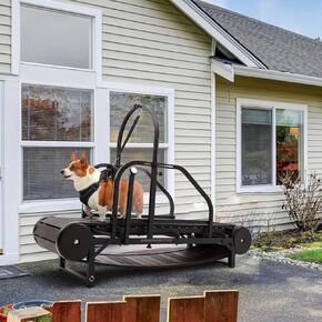 Dog Treadmill for Large,Medium Dogs,Adjustable Ramp Canine Running Slatmill Machine with Pedometer for Healthy&Exercise,Dog Slatmill for up to 350 lbs.(Black).
