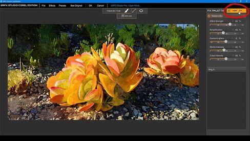 استوديو GRFX لـ PaintShop Pro ، جهاز واحد ، العمر in Kuwait