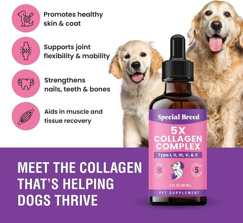 Premium Collagen for Dogs - Liquid Support for Joints, Skin, Coat, Bone, Immune System & HIPS - Collagen Supplement - Made in USA - 2oz in Kuwait