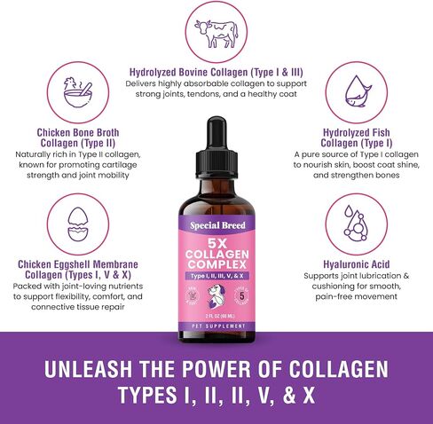 Premium Collagen for Dogs - Liquid Support for Joints, Skin, Coat, Bone, Immune System & HIPS - Collagen Supplement - Made in USA - 2oz in Kuwait