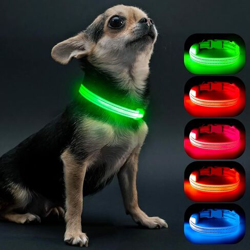 Visinite Light Up Dog Collars for Small Dogs,LED Dog Collar Light Rechargeable,Fully Adjustable Lighted Dog Collar,Glow in The Dark Dog Collars with Dog Lights for Night Walking,Green in Saudi Arabia